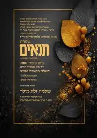 תנאים - Tenaim invitation